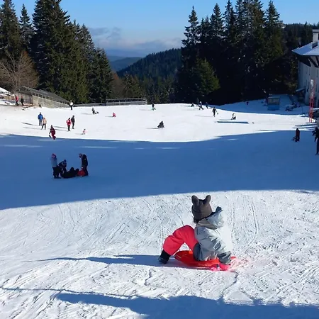 студио, стената *