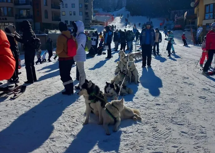 דירה студио, стената פמפורובו